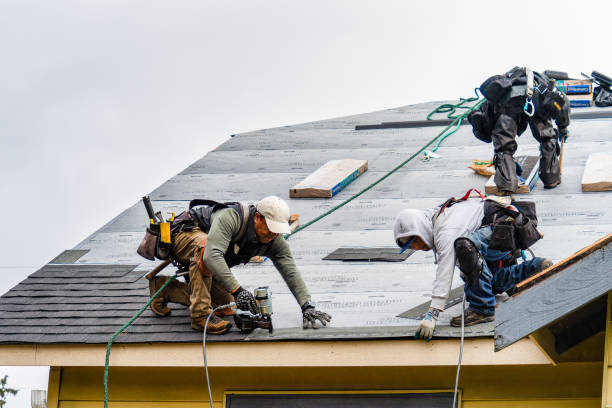Professional Storm Damage Roof Repair technician working in Reno, OH